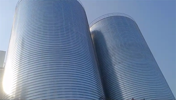 阳朔2座混凝土高架卷板仓